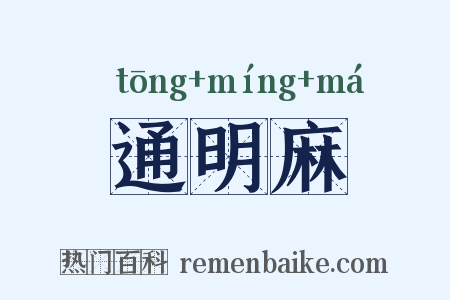 通明麻是什么意思的图片